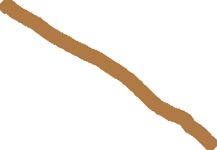 Elm with Leprechaun Whisker Wand