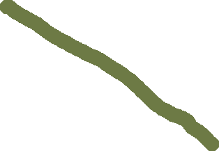 Willow and Pixie Tendon Wand